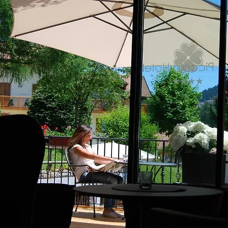 Il Piccolo Dolomiti